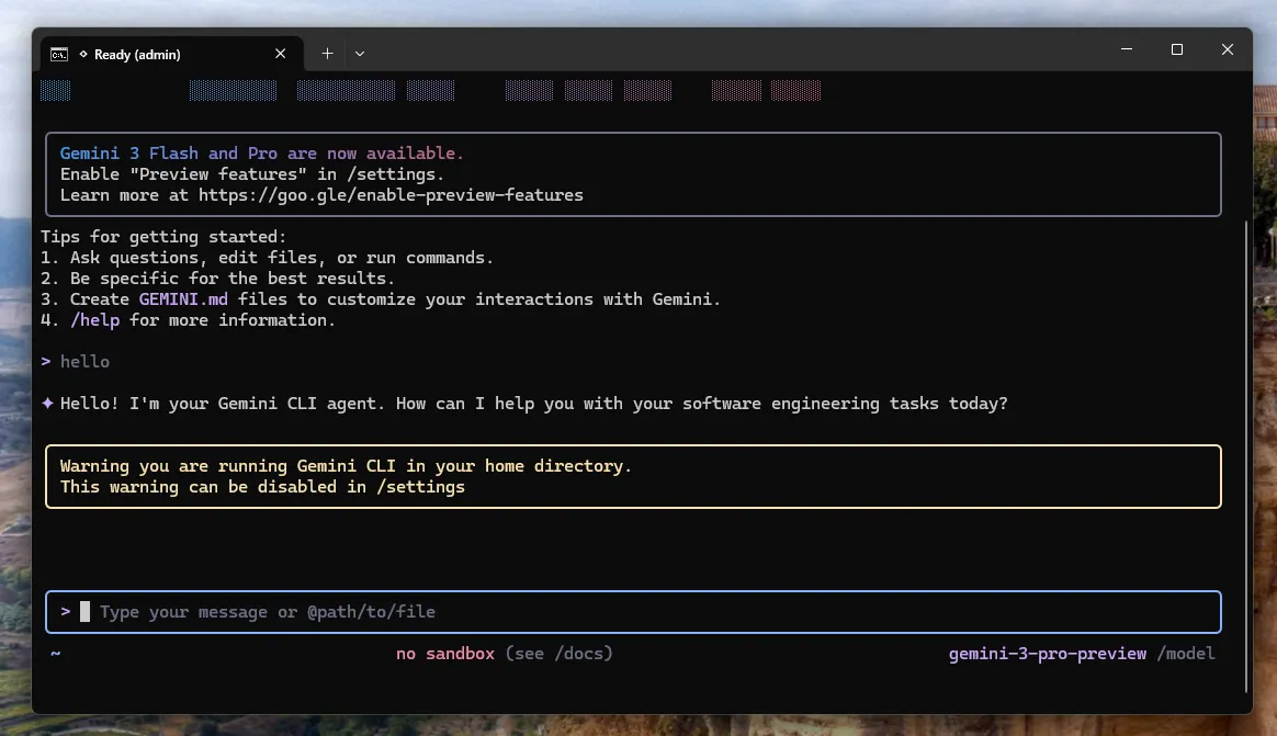Gemini CLI 运行成功示例
